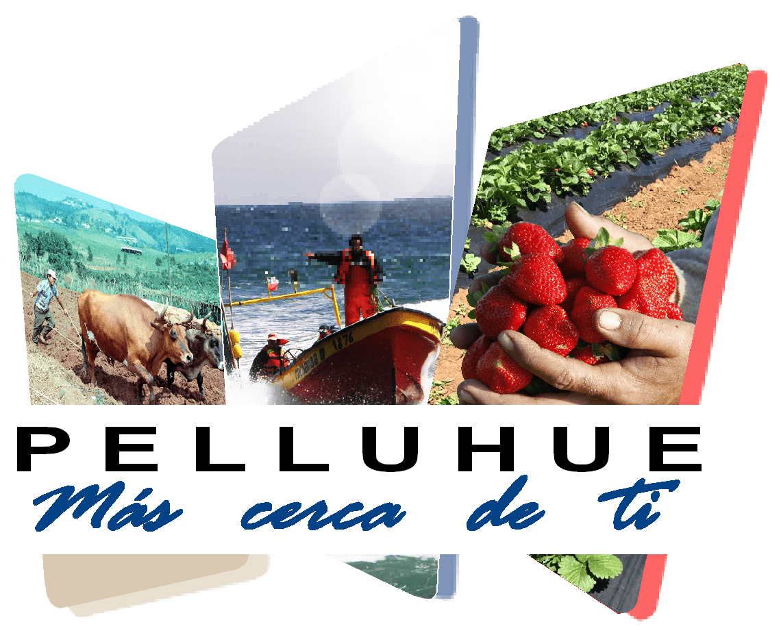 Ilustre Municipalidad de Pelluhue