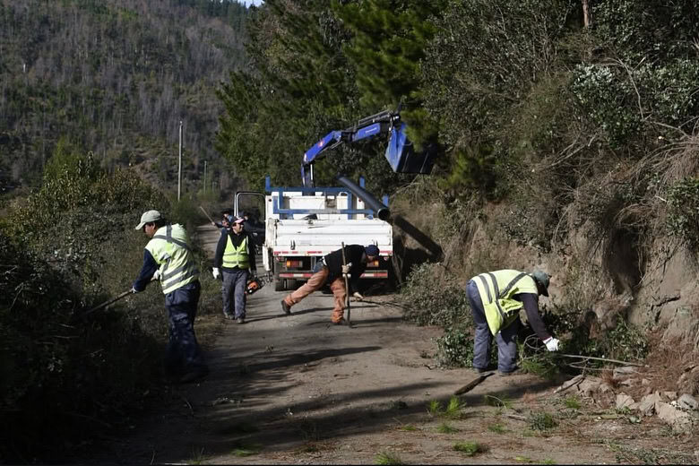 Actividad ambiental 1