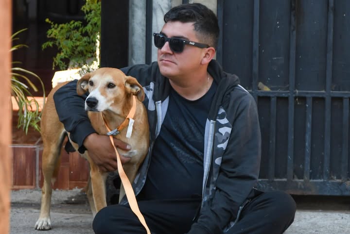 Atención veterinaria en el centro