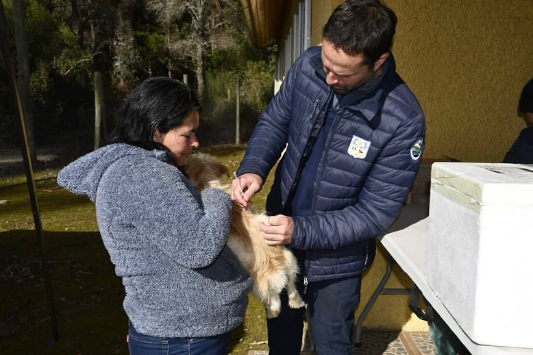 Instalaciones del centro veterinario